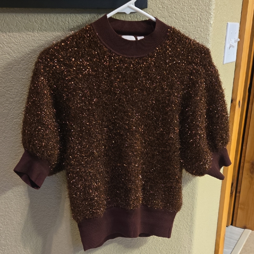 Elegant Brown Glittery Women's Crewneck Top